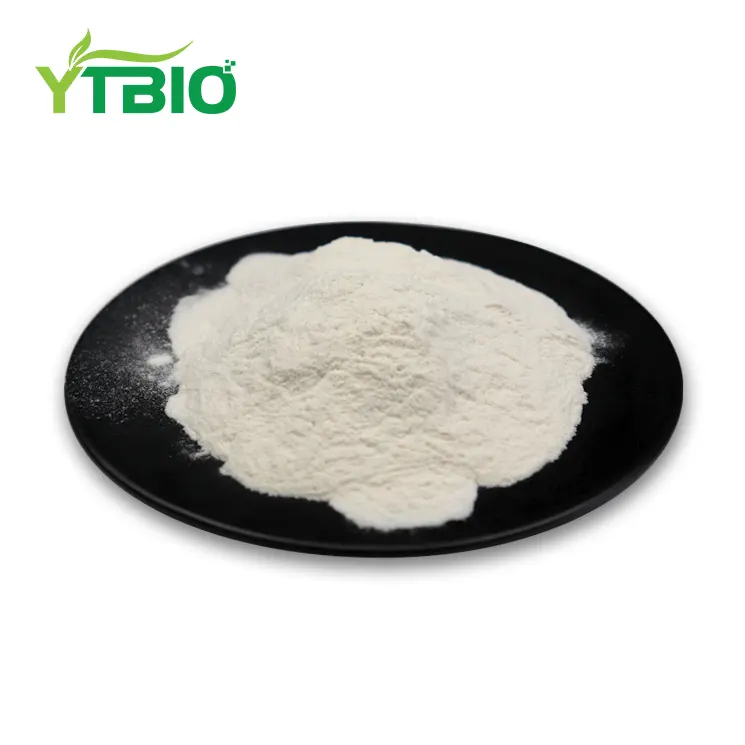 How does Collagen Type II powder support cartilage health? How does Collagen Type II powder support cartilage health?